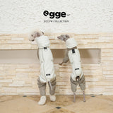 Rear view of dogs in padded bodysuits with contrasting sleeves.