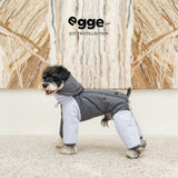 Dog wearing a gray padded bodysuit with light blue sleeves.