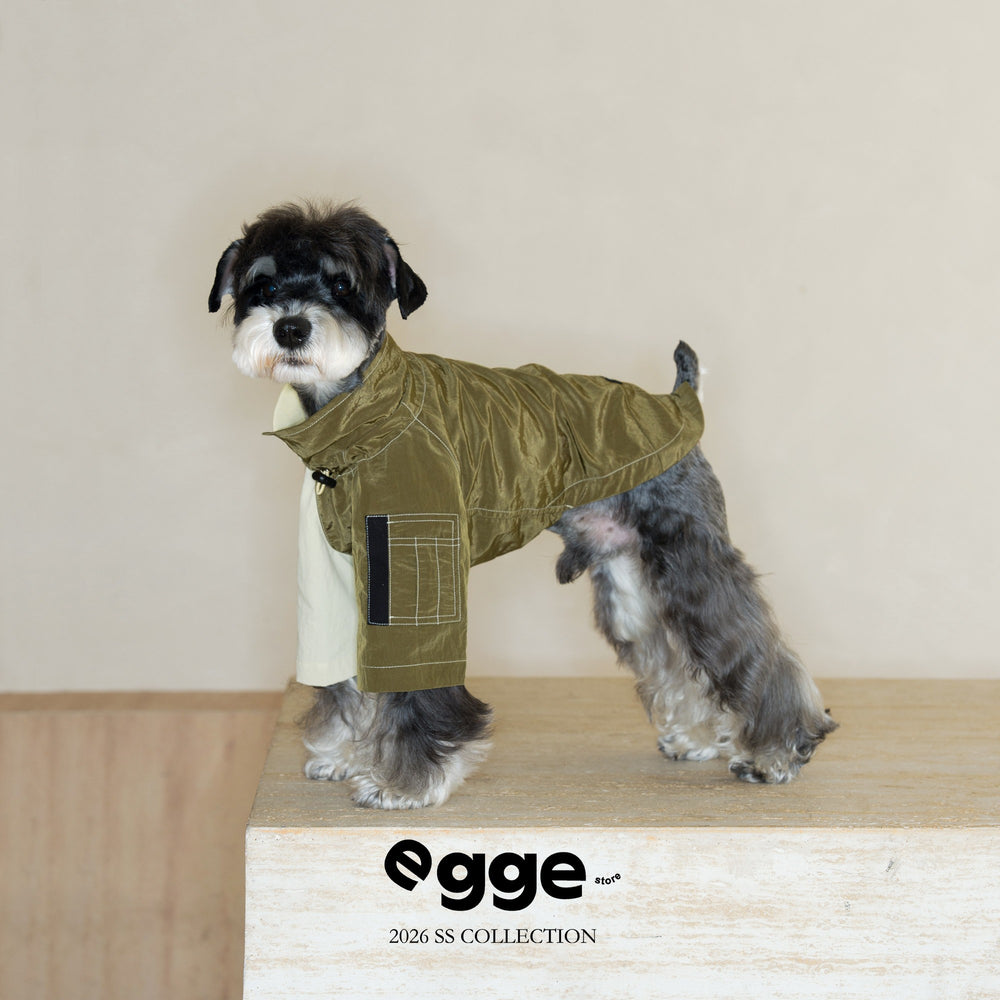 Dog wearing an olive utility-style sweatshirt with chest pocket detail.