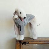 Dog wearing a pale blue pocket sweatshirt.