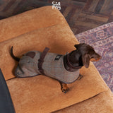Overhead view of a brown checked dog cape with dark straps.
