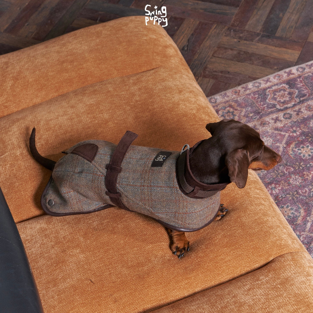 Oldtown Echo | Wool-Look Dog Cape