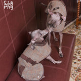 Two dogs wearing brown checked capes.