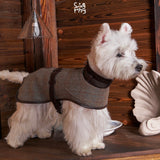 White terrier wearing a brown checked cape, side view.