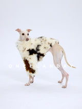 Product photo: Winter Fireside — Lambswool-Panel Dog Coat.