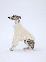 Product photo: Winter Fireside — Lambswool-Panel Dog Coat.