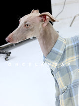 Close-up of a blue plaid dog shirt with collar detail.
