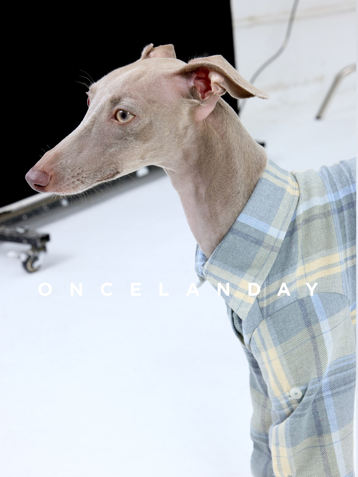 Heritage Plaid | Classic Dog Shirt