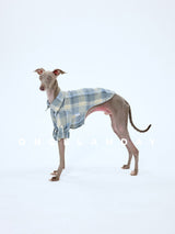 Side view of a dog wearing a blue plaid shirt.