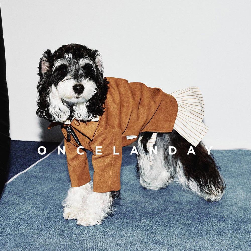 Dog wearing a brown jacket over a striped shirt.
