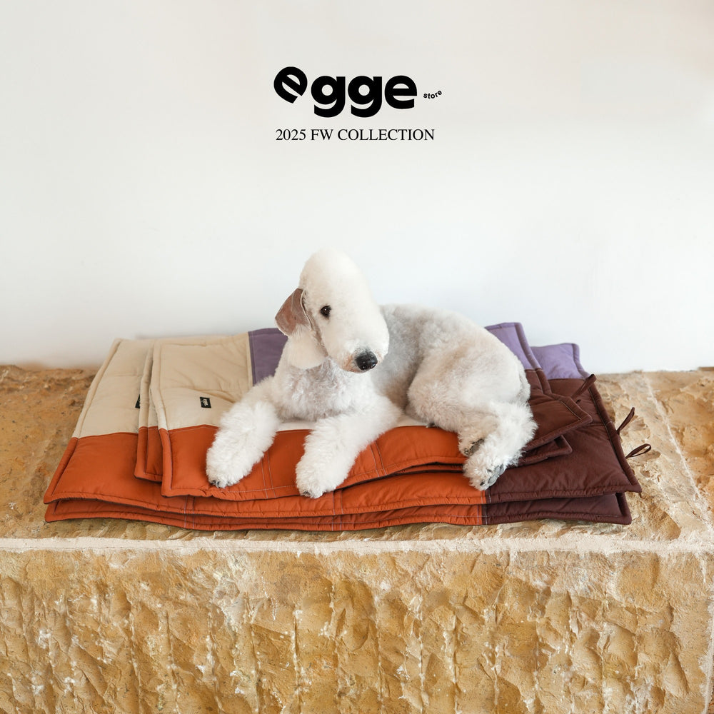 Dog resting on a quilted colorblock travel mat.