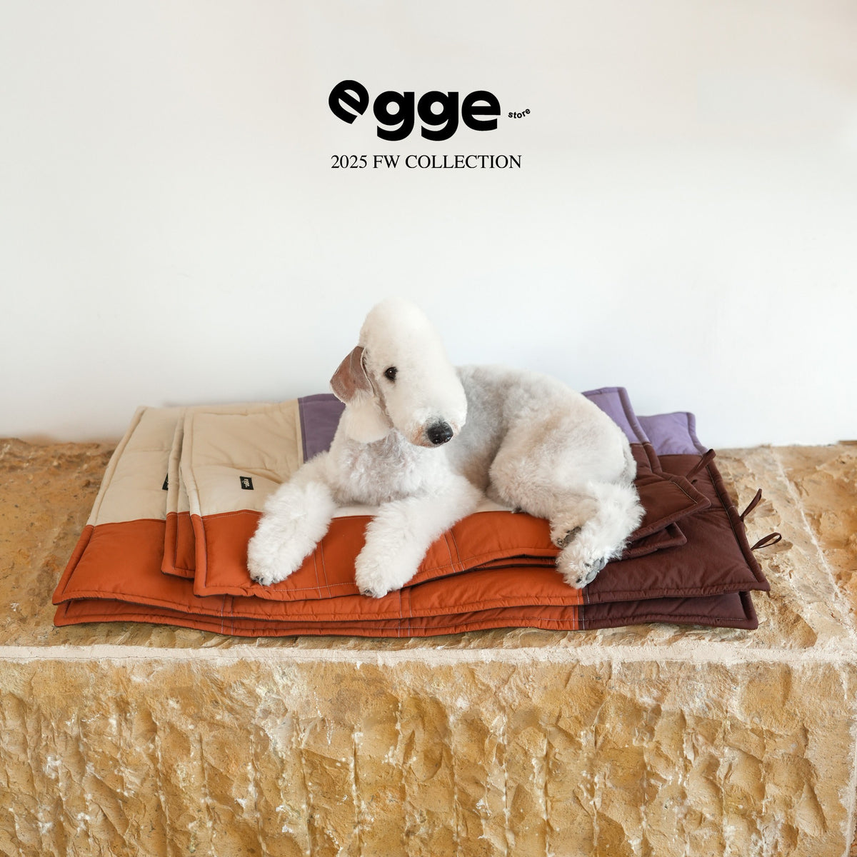 Dog resting on a quilted colorblock travel mat.