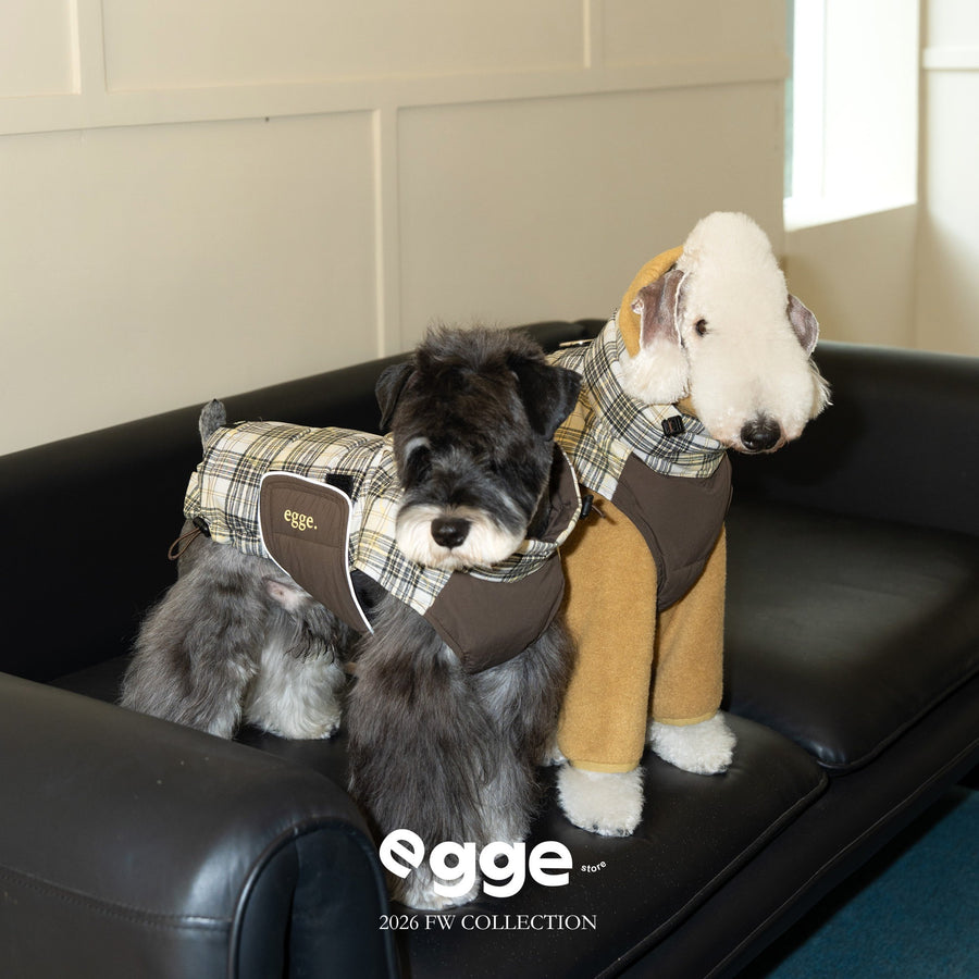 Two dogs modeling plaid vests with contrast pockets.