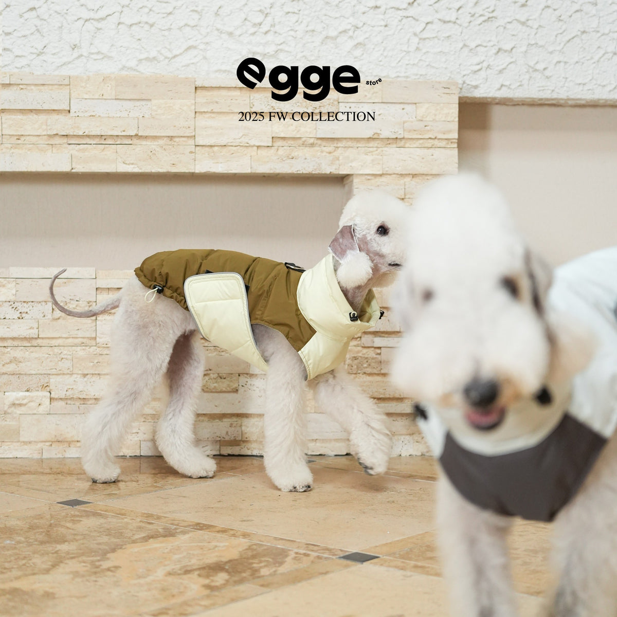 Dog wearing an olive puffer vest over a pale yellow bodysuit.