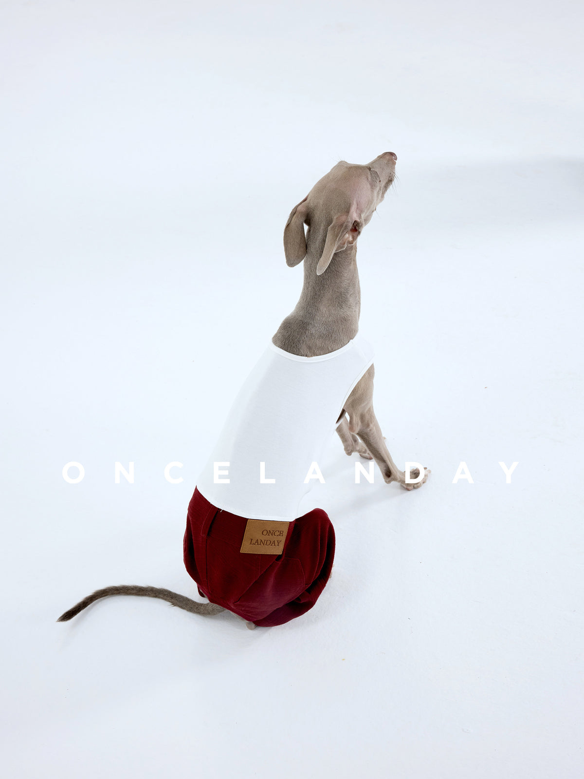 Product photo: Crimson Revival — Retro Dog Jeans.