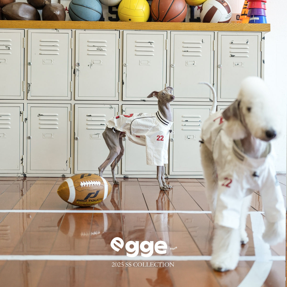 Dogs modeling cream sports jerseys with the number 22.