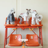 Three dogs wearing blue and cream sports jerseys on orange chairs.