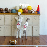 Two dogs wearing cream retro jerseys with striped trim.