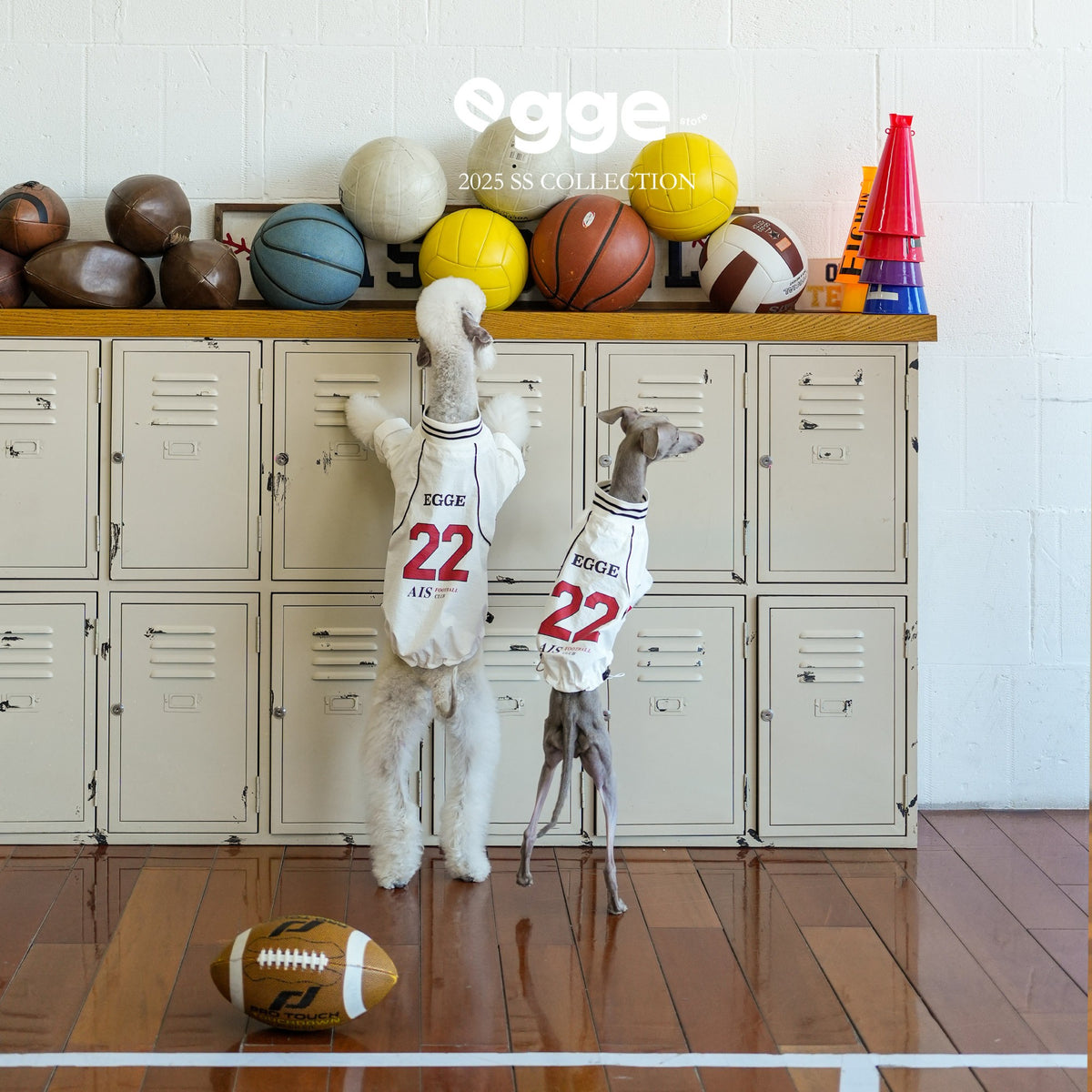 Two dogs wearing cream retro jerseys with striped trim.