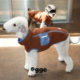 Dog wearing a rust vest with blue trim and a contrast pocket.