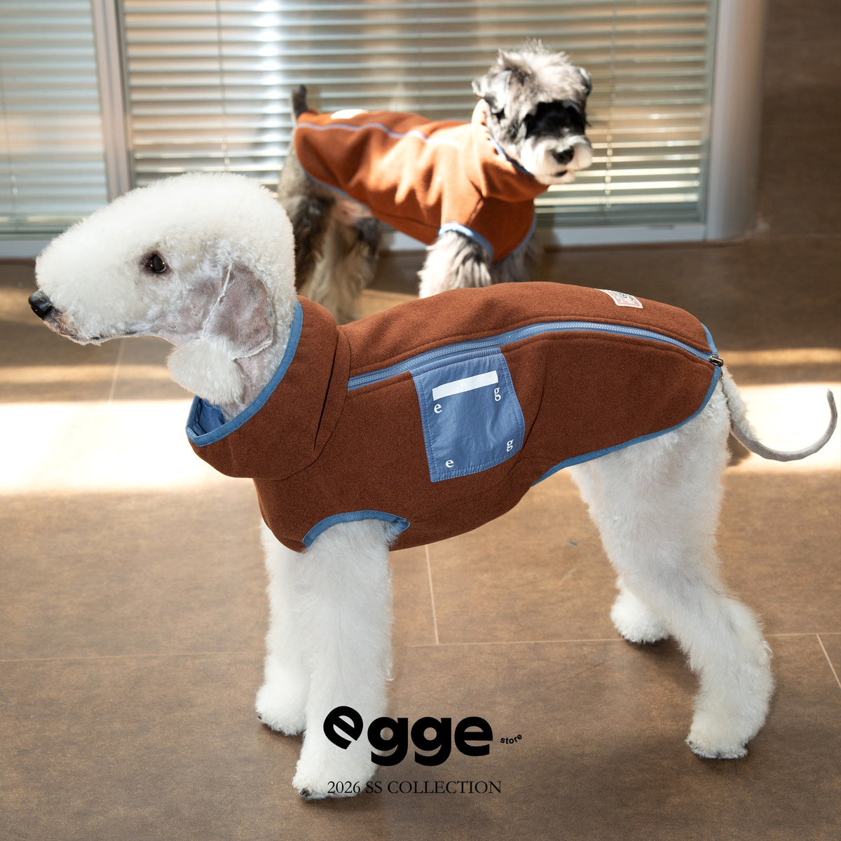 Dog wearing a rust vest with blue trim and a contrast pocket.