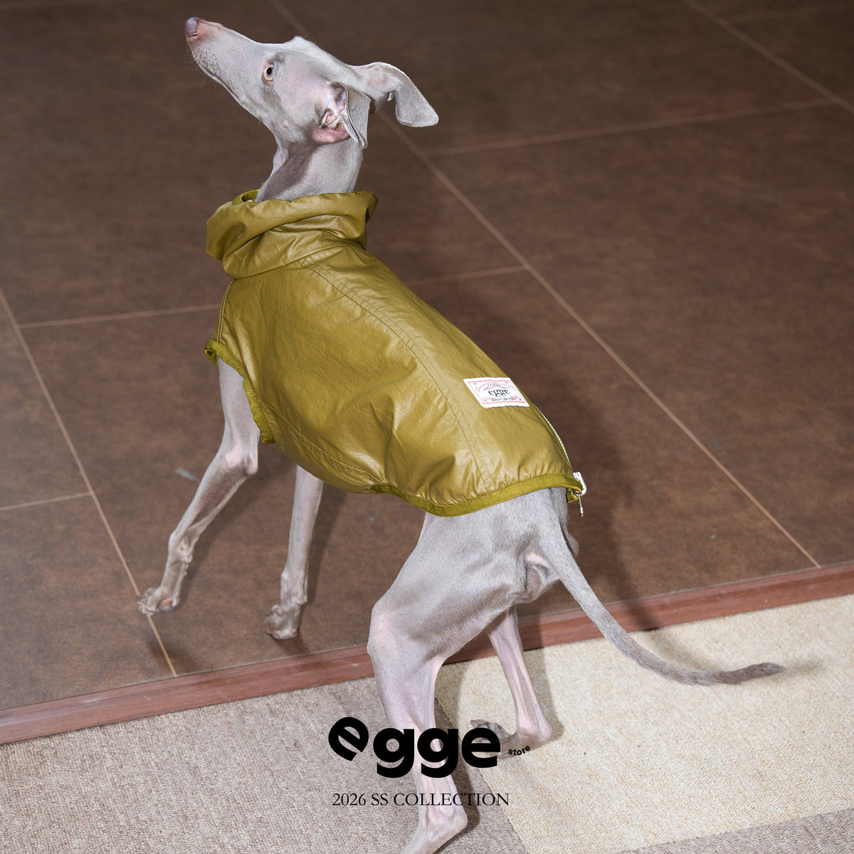 Rear view of a mustard dog vest with contrasting back panel.