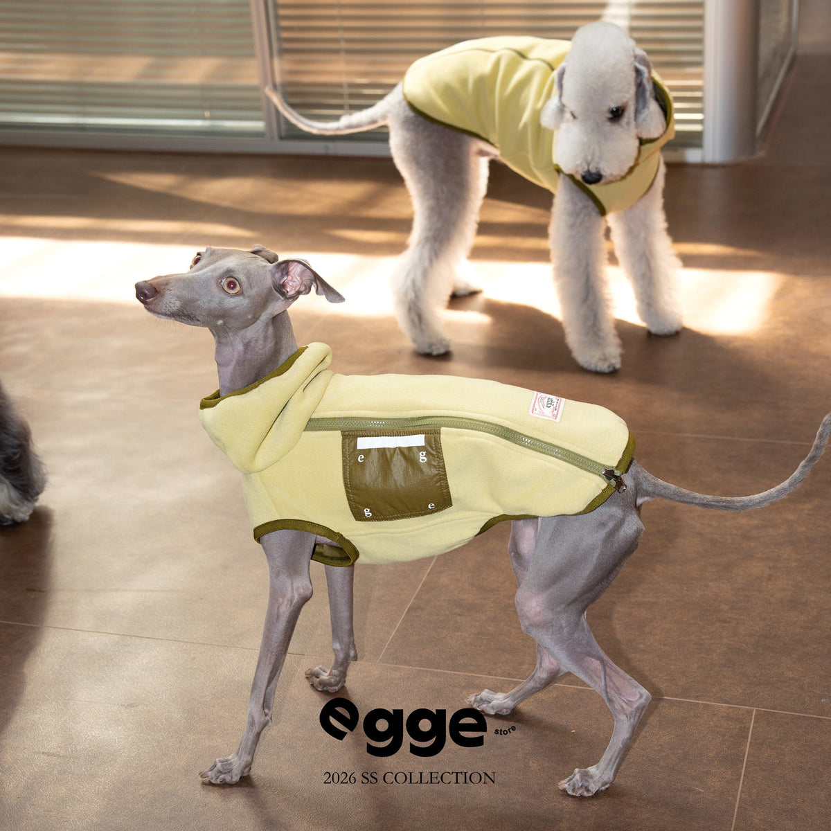 Dogs modeling pale yellow vests with contrasting pockets.