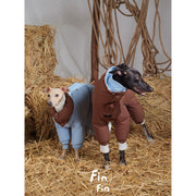 Thin Chocolate | Reversible Down Dog Suit
