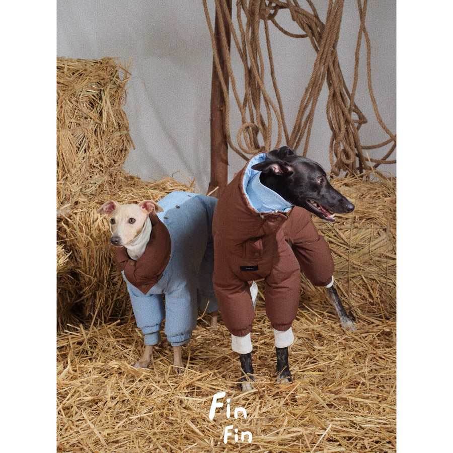 Two dogs wearing blue and brown puffer bodysuits.