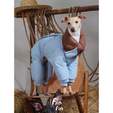 Dog wearing a blue puffer bodysuit with a brown collar.