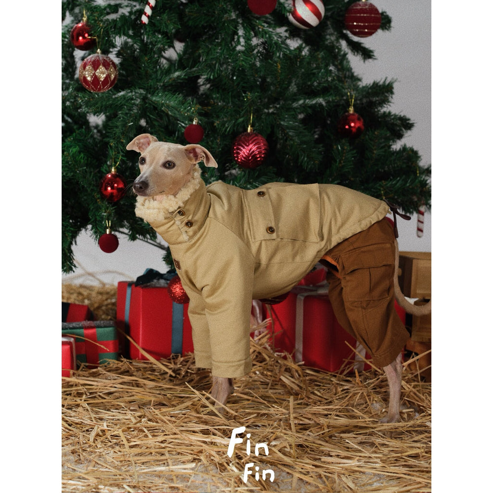 Dog wearing a tan coat over brown trousers beside a Christmas tree.