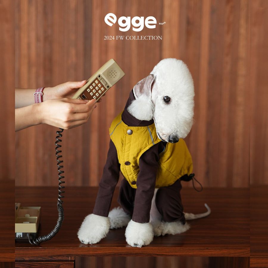Dog wearing a mustard puffer vest over a brown bodysuit.
