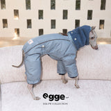 Rear view of a gray dog puffer jacket with a blue scarf collar.