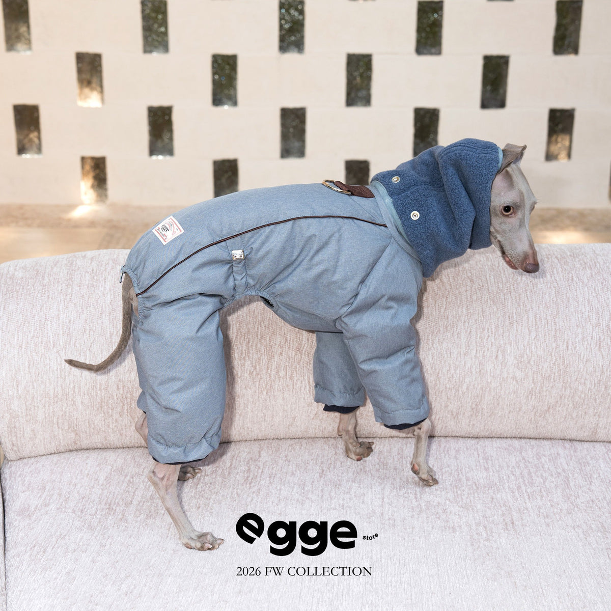 Rear view of a gray dog puffer jacket with a blue scarf collar.