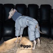 Scarf-Collar Warmth | Warm Dog Down Jacket