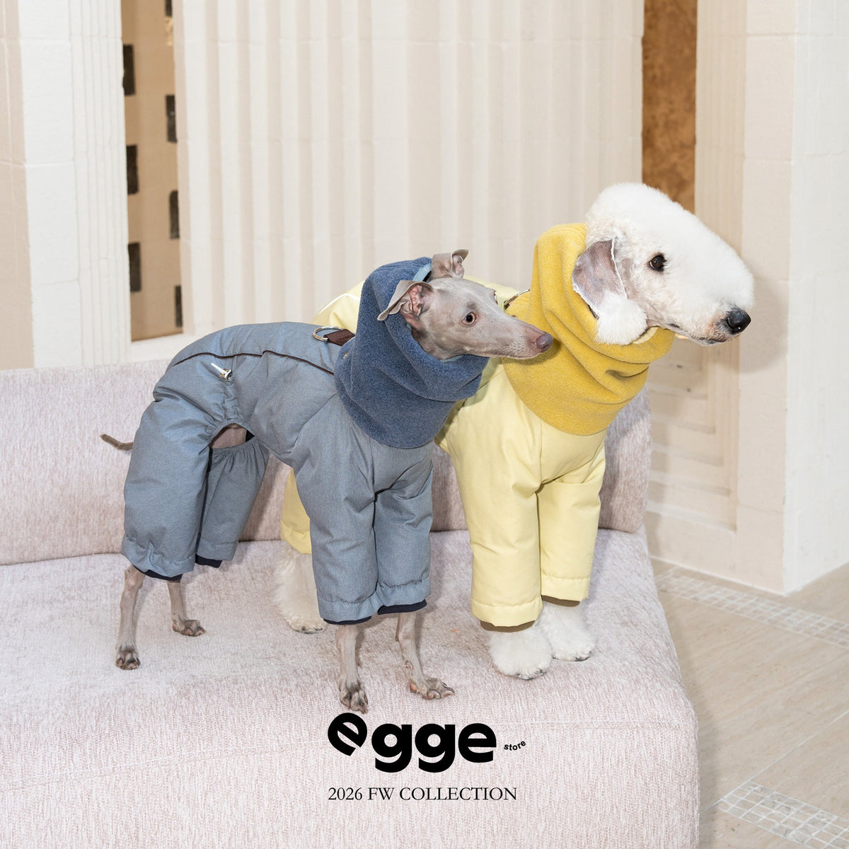 Two dogs wearing gray and yellow scarf-neck puffer jackets.