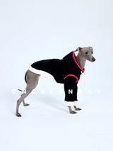 Dog wearing a black sweater with red trim and a white letter N.