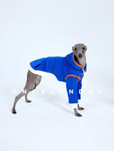 Side view of a bright blue dog sweater with orange edging.