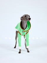 Front view of a green dog sweater with orange trim.