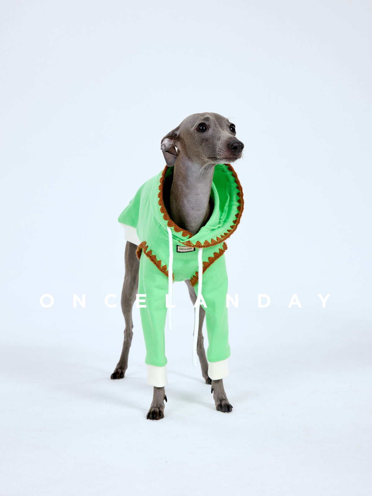 Front view of a green dog sweater with orange trim.
