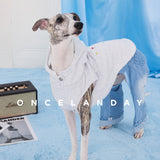 Dog wearing a pale gray sleeveless hoodie with blue jeans.