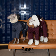 Snowline Frost | White Duck Down Dog Jacket