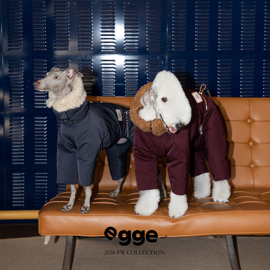 Two dogs wearing navy and burgundy puffer bodysuits with fluffy collars.