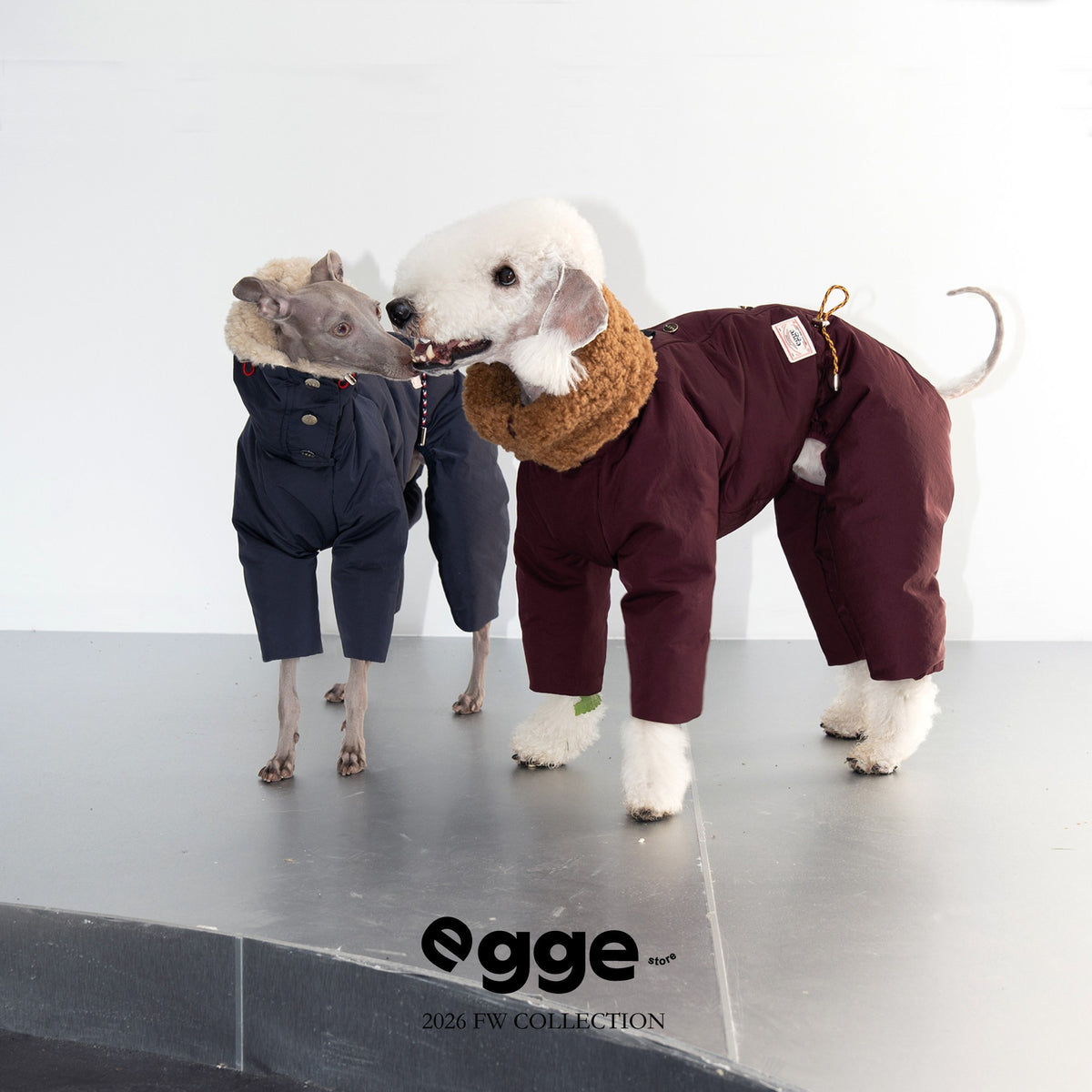 Dogs modeling navy and burgundy puffer suits.