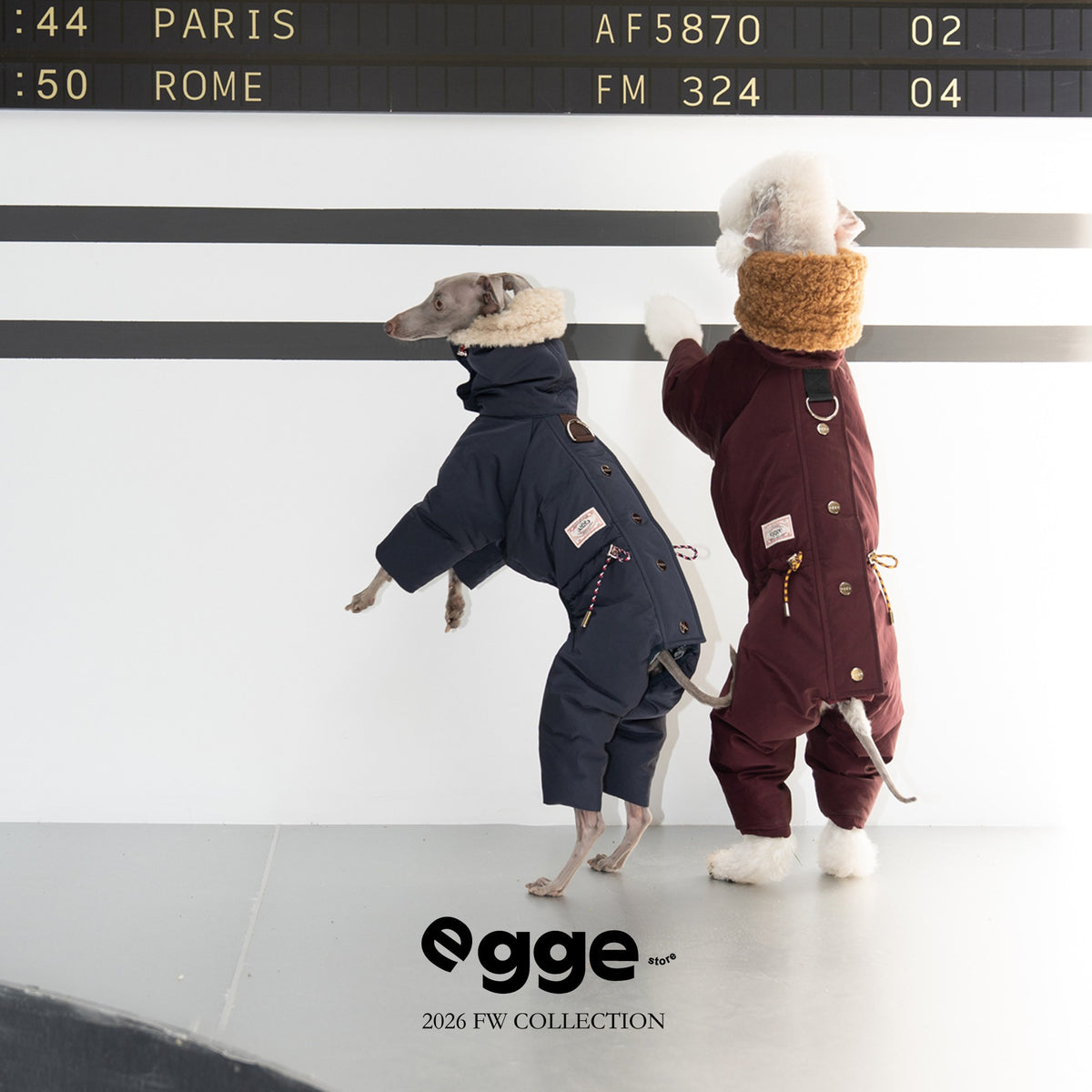 Rear view of navy and burgundy dog puffer suits.