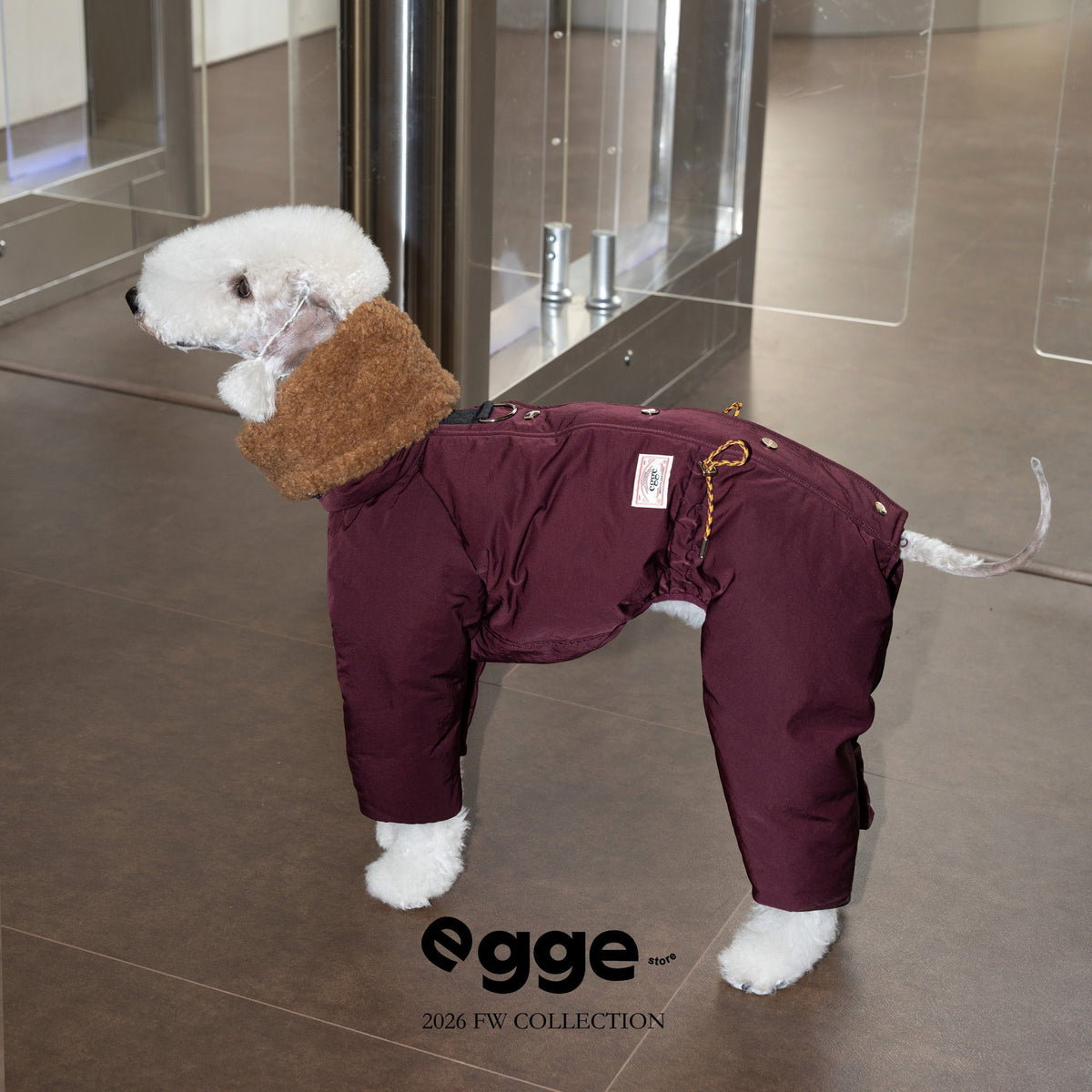 Dog wearing a burgundy puffer suit with a brown fluffy collar.