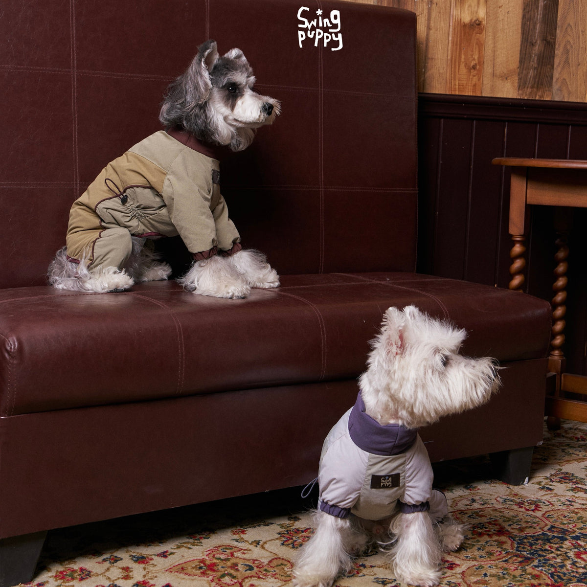 Schnauzer and white terrier wearing contrasting puffer bodysuits.