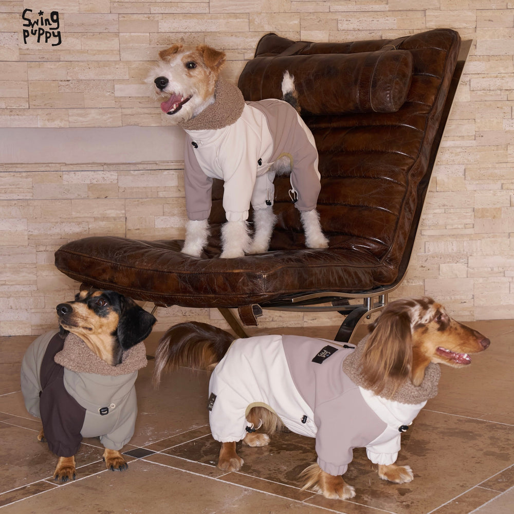 Dogs wearing pale and dark colorblock winter bodysuits beside a chair.