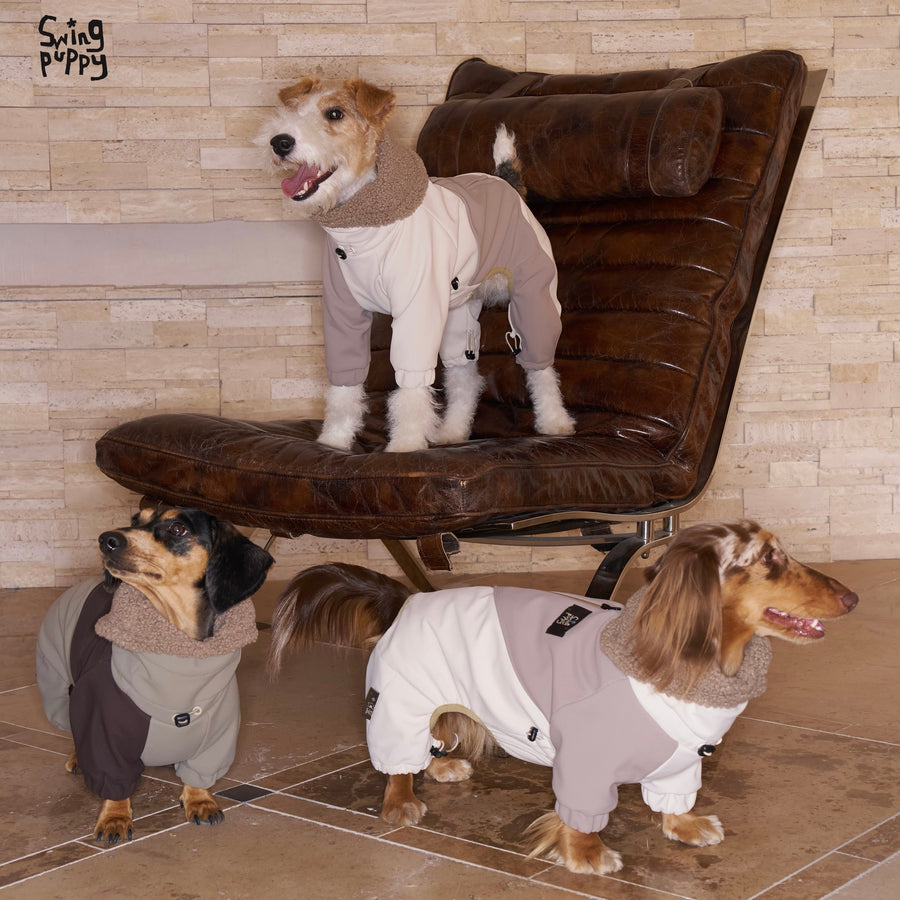 Dogs wearing pale and dark colorblock winter bodysuits beside a chair.