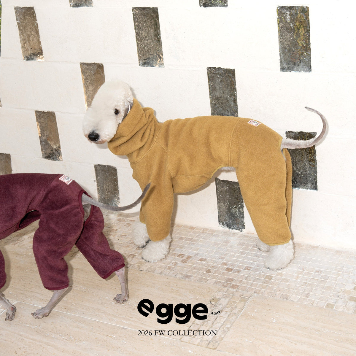 Dog wearing a mustard four-leg fleece bodysuit.